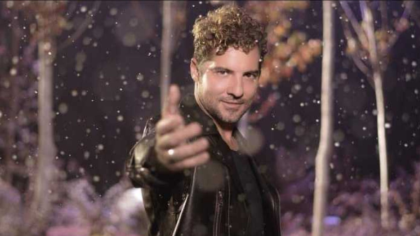 Davis bisbal